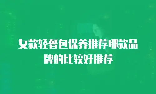 女款轻奢包保养推荐哪款品牌的比较好推荐