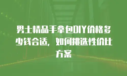 男士精品手拿包DIY价格多少钱合适，如何挑选性价比方案