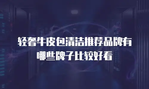 轻奢牛皮包清洁推荐品牌有哪些牌子比较好看