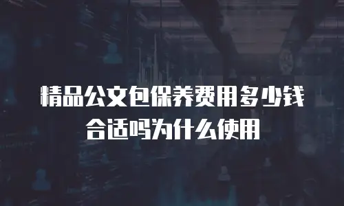 精品公文包保养费用多少钱合适吗为什么使用