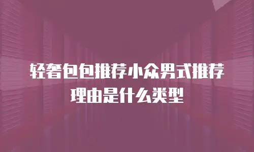 轻奢包包推荐小众男式推荐理由是什么类型