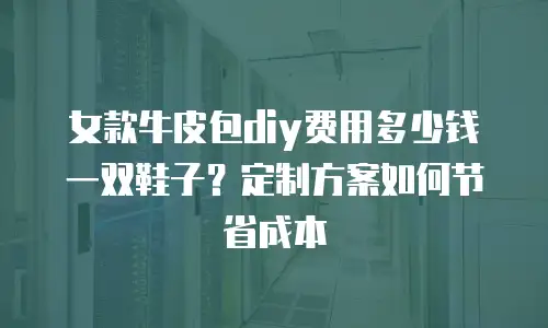 女款牛皮包diy费用多少钱一双鞋子？定制方案如何节省成本