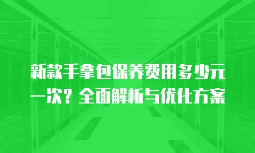 新款手拿包保养费用多少元一次？全面解析与优化方案