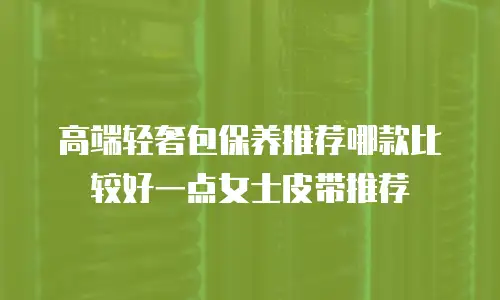 高端轻奢包保养推荐哪款比较好一点女士皮带推荐