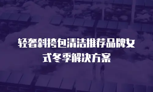 轻奢斜挎包清洁推荐品牌女式冬季解决方案