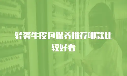 轻奢牛皮包保养推荐哪款比较好看
