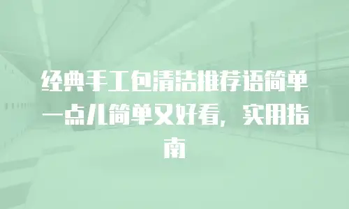 经典手工包清洁推荐语简单一点儿简单又好看，实用指南