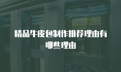 精品牛皮包制作推荐理由有哪些理由