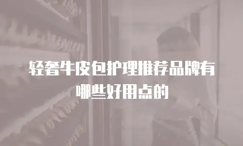 轻奢牛皮包护理推荐品牌有哪些好用点的