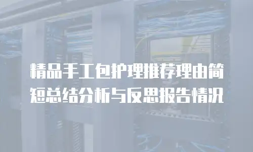 精品手工包护理推荐理由简短总结分析与反思报告情况