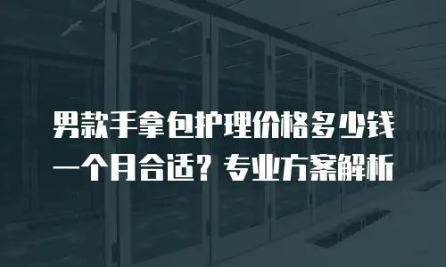 男款手拿包护理价格多少钱一个月合适？专业方案解析