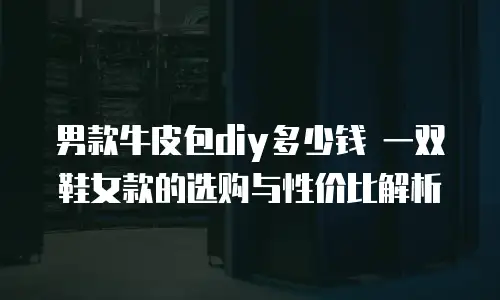 男款牛皮包diy多少钱 一双鞋女款的选购与性价比解析