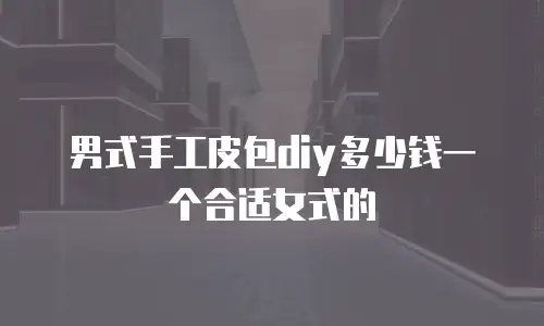 男式手工皮包diy多少钱一个合适女式的