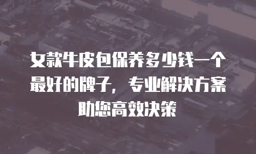女款牛皮包保养多少钱一个最好的牌子，专业解决方案助您高效决策