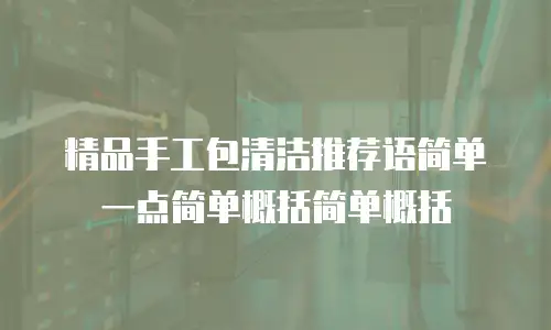 精品手工包清洁推荐语简单一点简单概括简单概括