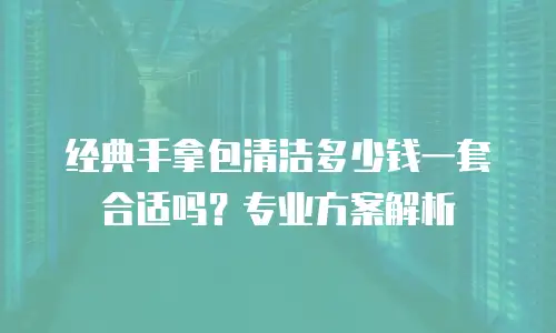 经典手拿包清洁多少钱一套合适吗？专业方案解析