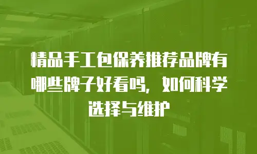 精品手工包保养推荐品牌有哪些牌子好看吗，如何科学选择与维护