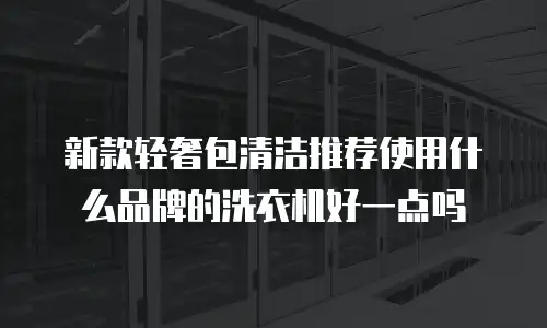 新款轻奢包清洁推荐使用什么品牌的洗衣机好一点吗