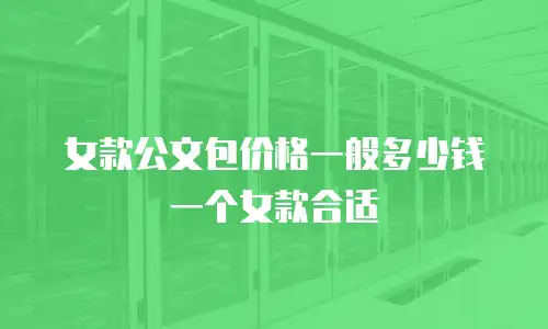女款公文包价格一般多少钱一个女款合适