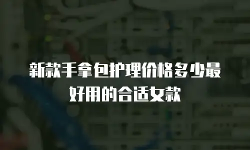 新款手拿包护理价格多少最好用的合适女款