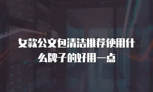 女款公文包清洁推荐使用什么牌子的好用一点