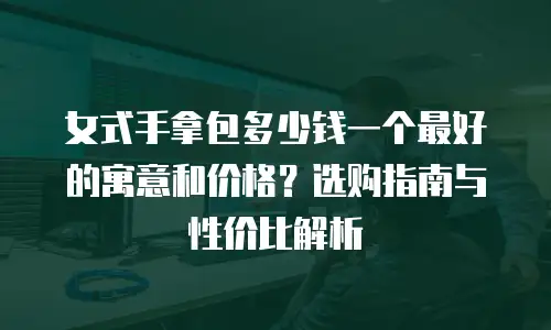 女式手拿包多少钱一个最好的寓意和价格？选购指南与性价比解析