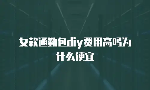 女款通勤包diy费用高吗为什么便宜