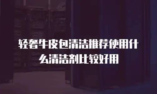 轻奢牛皮包清洁推荐使用什么清洁剂比较好用