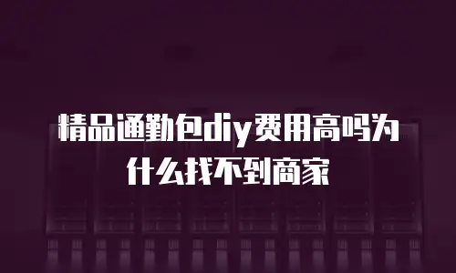 精品通勤包diy费用高吗为什么找不到商家