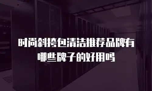时尚斜挎包清洁推荐品牌有哪些牌子的好用吗