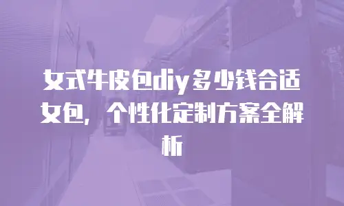 女式牛皮包diy多少钱合适女包，个性化定制方案全解析