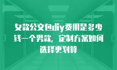 女款公文包diy费用是多少钱一个男款，定制方案如何选择更划算