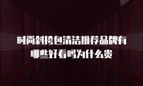 时尚斜挎包清洁推荐品牌有哪些好看吗为什么贵