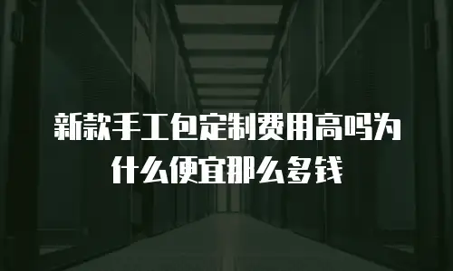 新款手工包定制费用高吗为什么便宜那么多钱