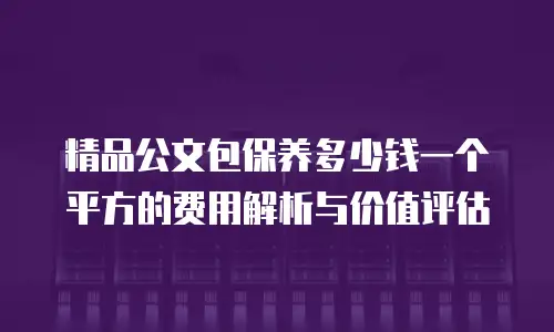 精品公文包保养多少钱一个平方的费用解析与价值评估