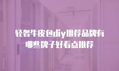 轻奢牛皮包diy推荐品牌有哪些牌子好看点推荐