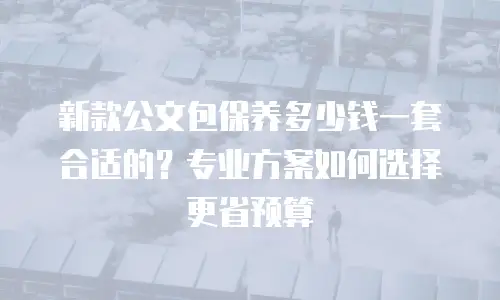 新款公文包保养多少钱一套合适的？专业方案如何选择更省预算