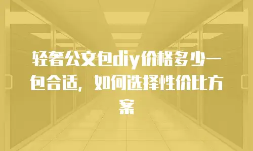 轻奢公文包diy价格多少一包合适，如何选择性价比方案