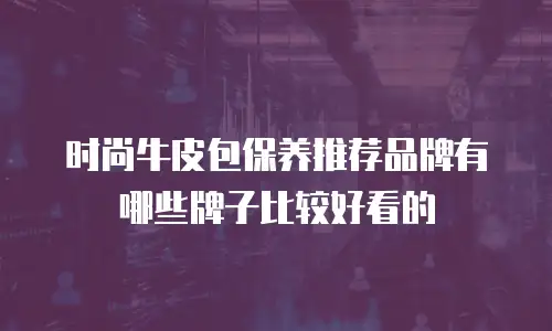 时尚牛皮包保养推荐品牌有哪些牌子比较好看的