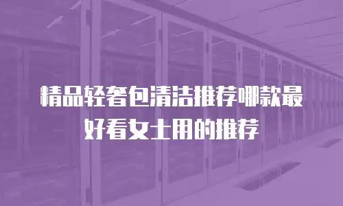 精品轻奢包清洁推荐哪款最好看女士用的推荐