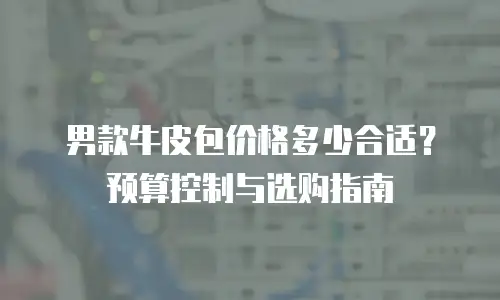 男款牛皮包价格多少合适？预算控制与选购指南