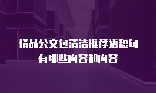 精品公文包清洁推荐语短句有哪些内容和内容