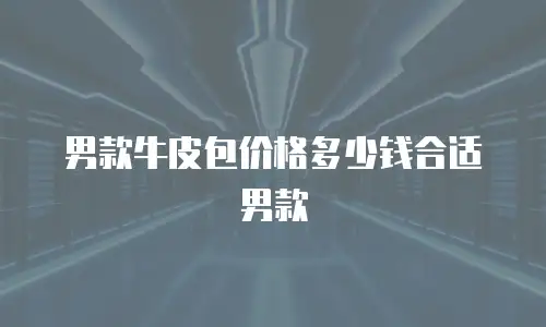 男款牛皮包价格多少钱合适男款