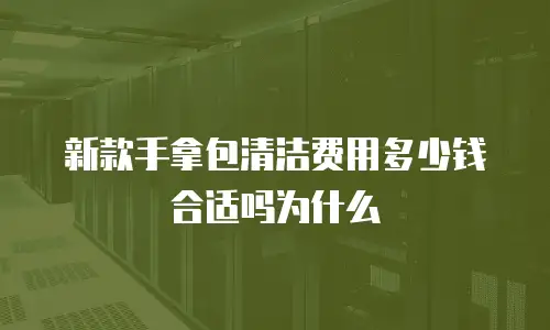 新款手拿包清洁费用多少钱合适吗为什么