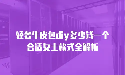 轻奢牛皮包diy多少钱一个合适女士款式全解析