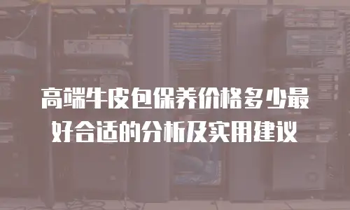 高端牛皮包保养价格多少最好合适的分析及实用建议