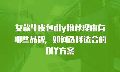 女款牛皮包diy推荐理由有哪些品牌，如何选择适合的DIY方案