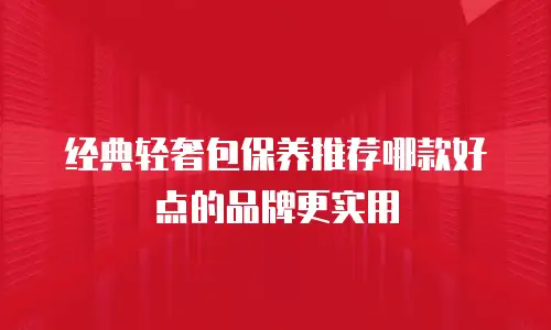 经典轻奢包保养推荐哪款好点的品牌更实用