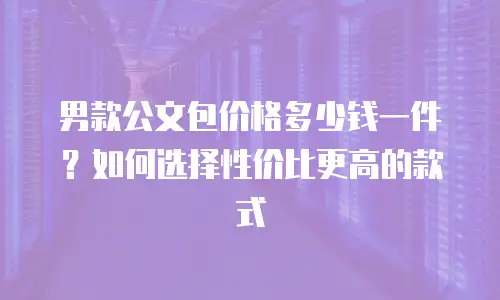 男款公文包价格多少钱一件？如何选择性价比更高的款式