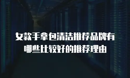 女款手拿包清洁推荐品牌有哪些比较好的推荐理由